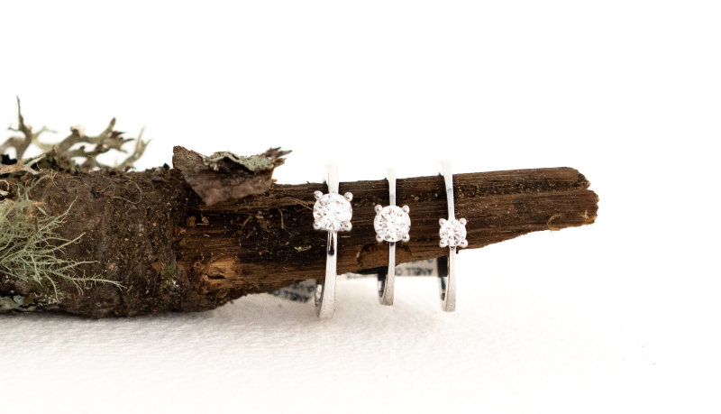 Aliances Margarida Aldabó